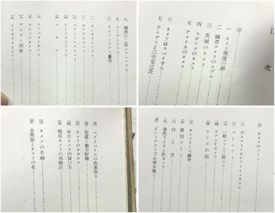 658132496_34533584759590428_3443164