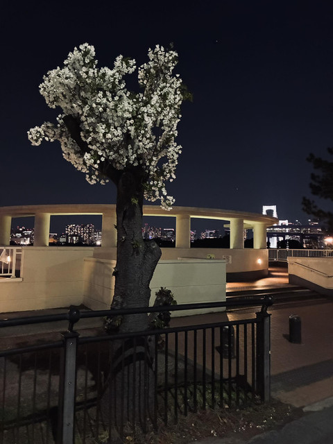 660780434_34622519920696911_8740767