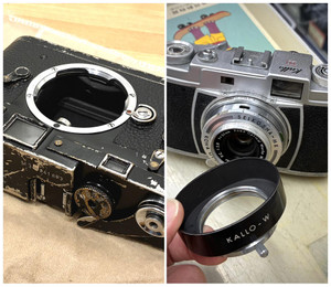 679276489_35104208465861385_3807705