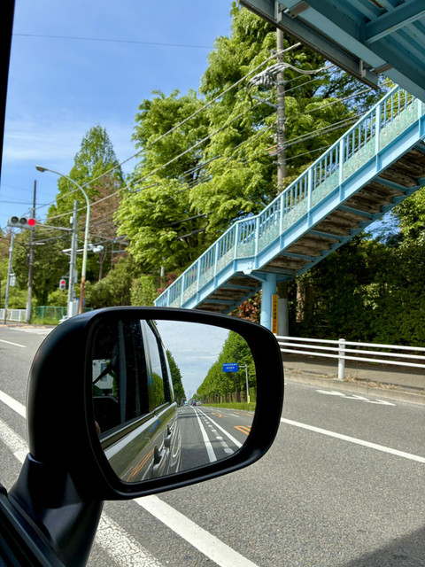 678297362_34992026730412893_2946350