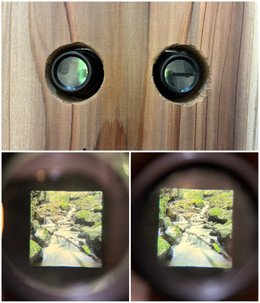 585067363_32359294033686189_9877599 585067363_32359294033686189_9877599