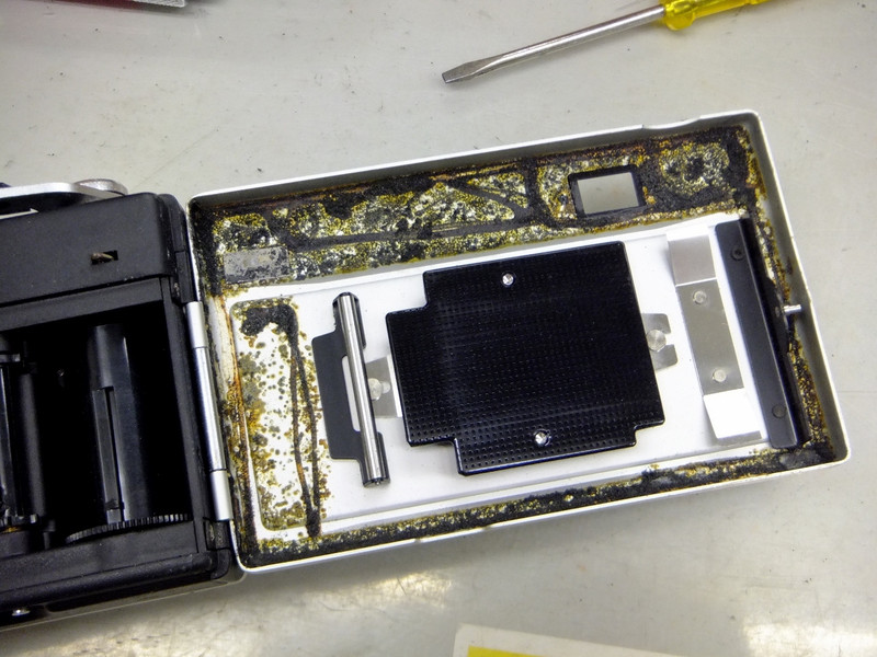 Mionlto 蛇腹カメラ 　 ジャンク扱い 希少 時代物 骨董品 レア 当時物 Mionlto 蛇腹カメラ ジャンク扱い 希少 時代物 骨董品 レア 当時